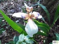 /album/naldo-sousa-fotos/a107-2262-jpg/