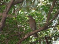 /album/naldo-sousa-fotos/a107-2320-jpg/