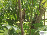 /album/naldo-sousa-fotos/a107-2333-jpg/