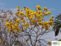 /album/naldo-sousa-fotos/a100-8833-jpg/