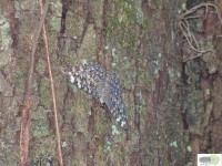 /album/naldo-sousa-fotos/a107-3026-jpg/