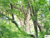 /album/naldo-sousa-fotos/a107-3027-jpg/