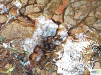 /album/naldo-sousa-fotos/a107-3028-jpg/