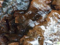 /album/naldo-sousa-fotos/a107-3029-jpg/