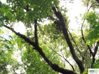 /album/naldo-sousa-fotos/a107-3034-jpg/