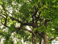 /album/naldo-sousa-fotos/a107-3035-jpg/