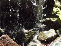 /album/naldo-sousa-fotos/a107-3046-jpg/