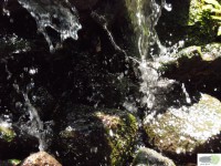 /album/naldo-sousa-fotos/a107-3047-jpg/