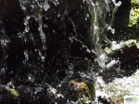 /album/naldo-sousa-fotos/a107-3048-jpg/