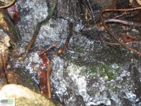 /album/naldo-sousa-fotos/a107-3049-jpg/