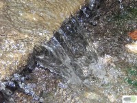 /album/naldo-sousa-fotos/a107-3050-jpg/