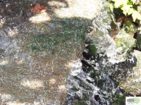 /album/naldo-sousa-fotos/a107-3051-jpg/