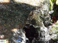 /album/naldo-sousa-fotos/a107-3052-jpg/