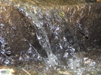 /album/naldo-sousa-fotos/a107-3053-jpg/