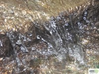 /album/naldo-sousa-fotos/a107-3055-jpg/