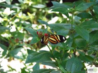 /album/naldo-sousa-fotos/a107-3058-jpg/