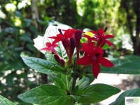 /album/naldo-sousa-fotos/a107-3059-jpg/